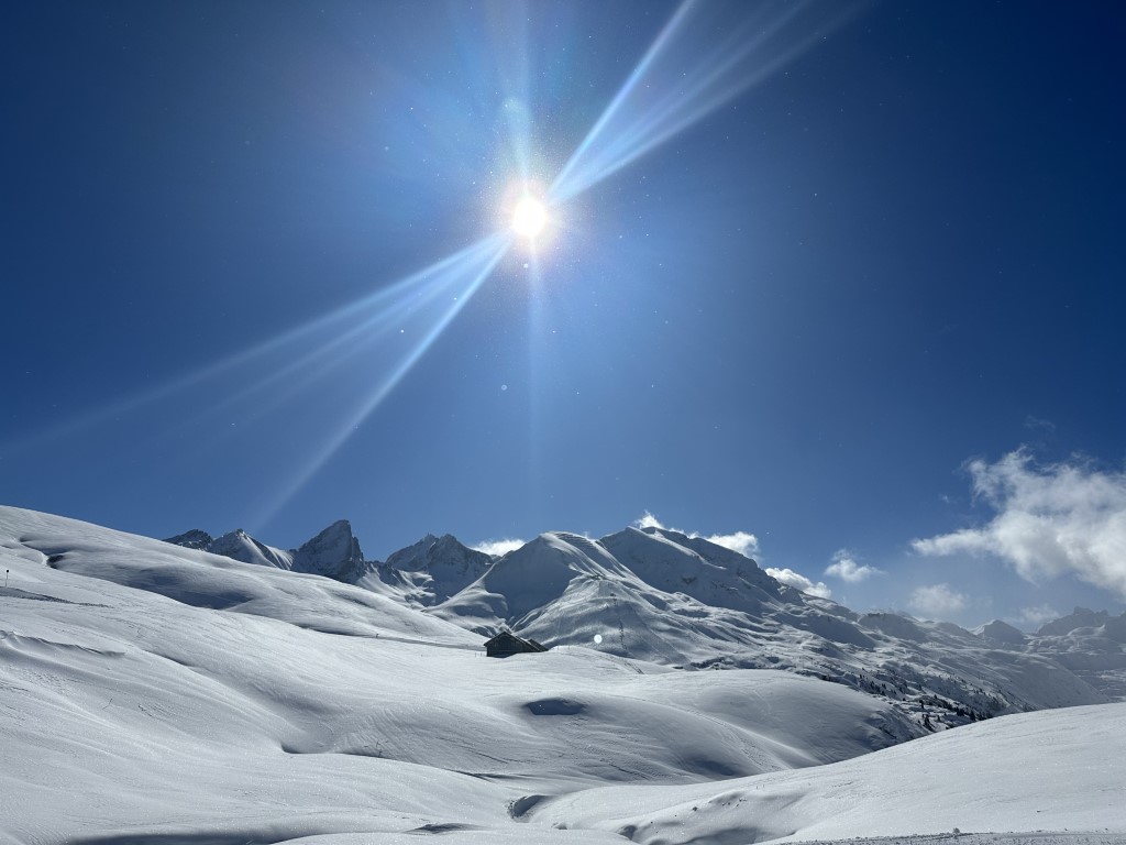 Powderday_März23_LZTG_by_Katrin_Schwarzmann (17).jpeg