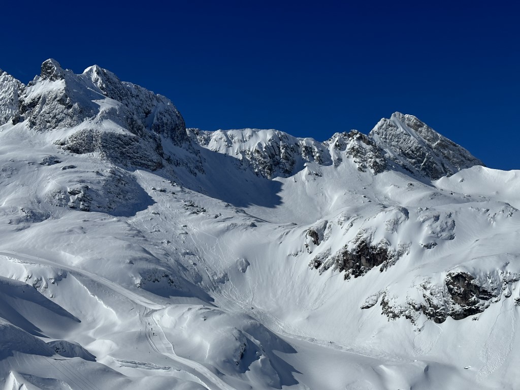 Powderday_März23_LZTG_by_Katrin_Schwarzmann (53).jpeg