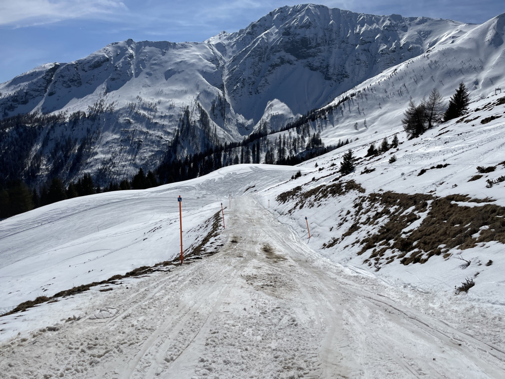 Die zwei, drei Querfahrten auf den Ziehwegen sind ziemlich braun und mit Steinen gespickt.