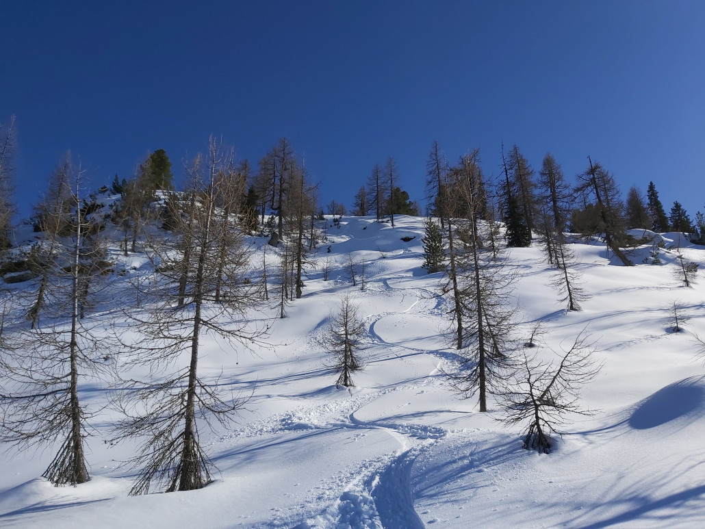 Da war sogar noch etwas Pulver dabei.