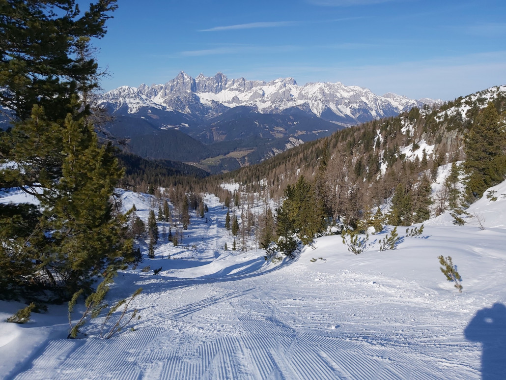Die Teststrecke würde wunderbar zum Kurzschwingen einladen.