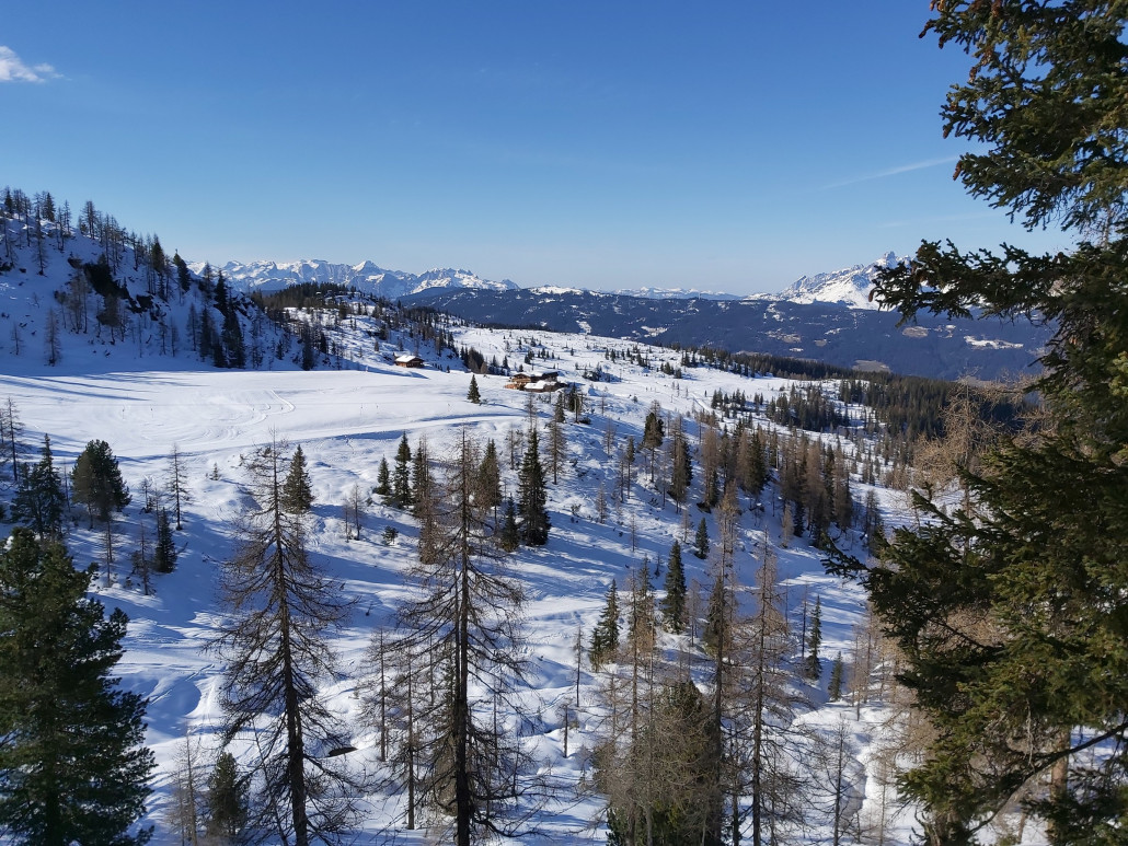 Dennoch ist der Adrenalinspiegel eher niedrig ausgefallen für heute.