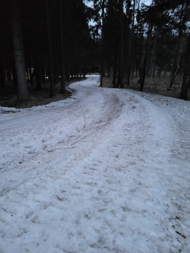 Ziehweg vor der Talstation des SL