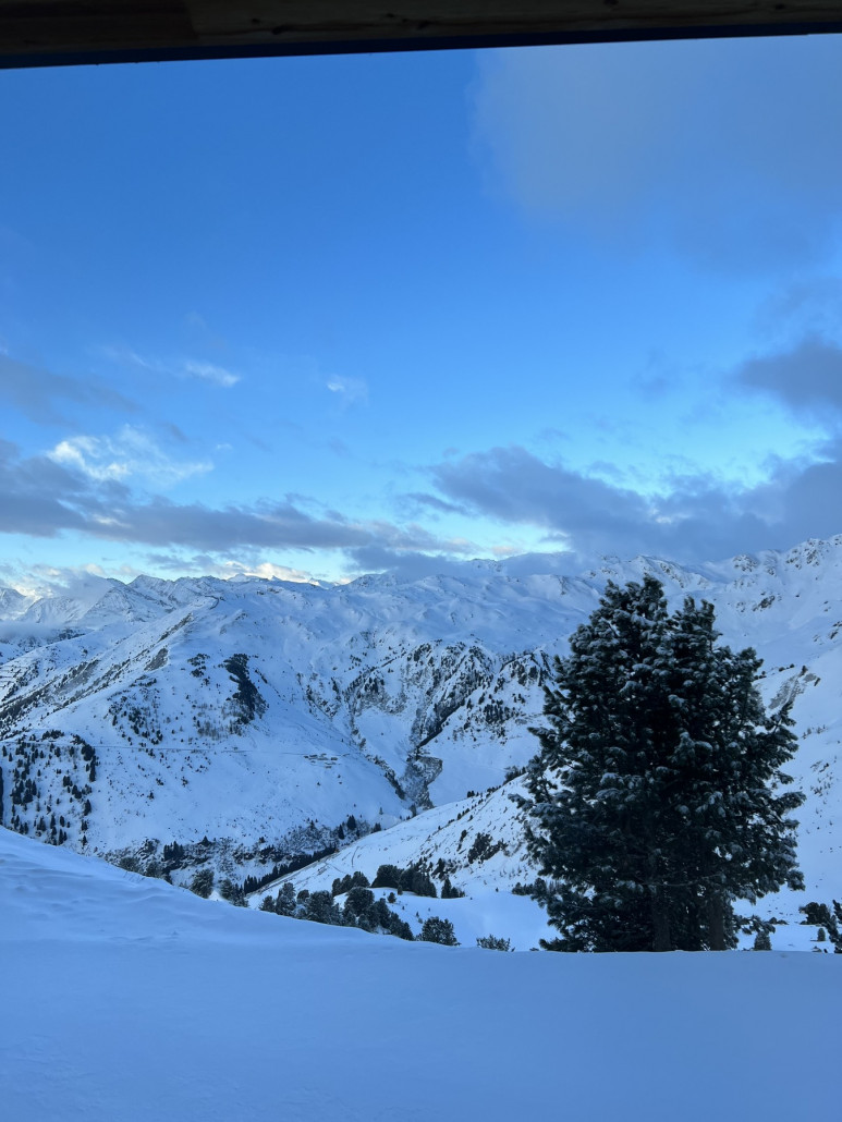 Morgendlicher Blick in die verschneite Landschaft