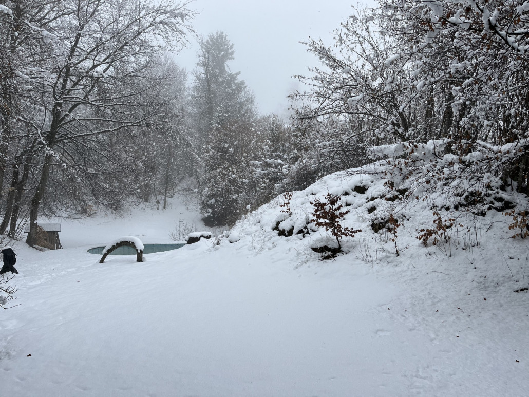 2023-03-27 11.32.41.jpg