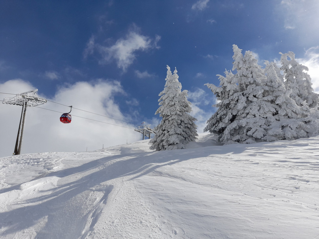 nordseitig unterhalb vom Gipfel der Salve