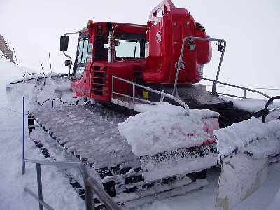 Polar auf dem Gemsstockgipfel