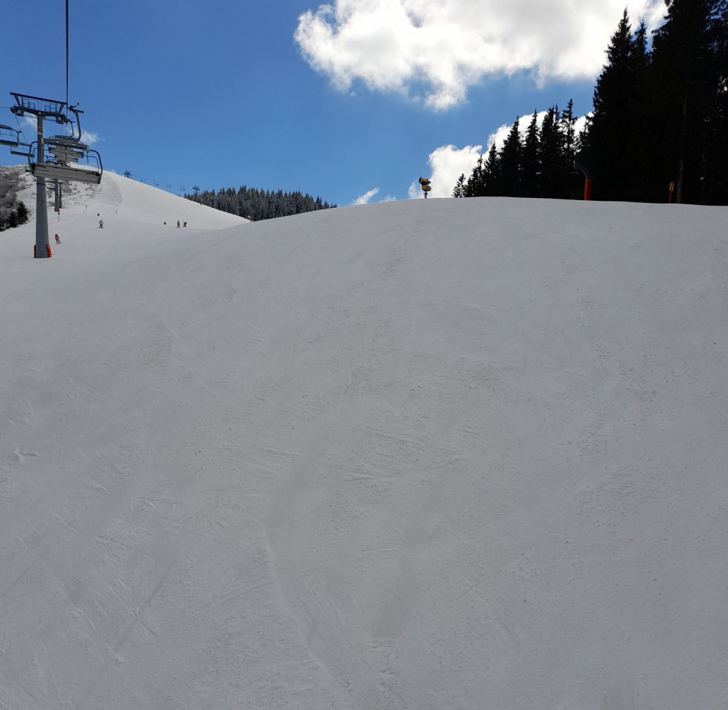 Ellmi6er: teilweise knollig