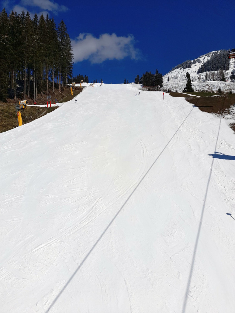 Fleiding: Sehr gut, auch toll präpariert