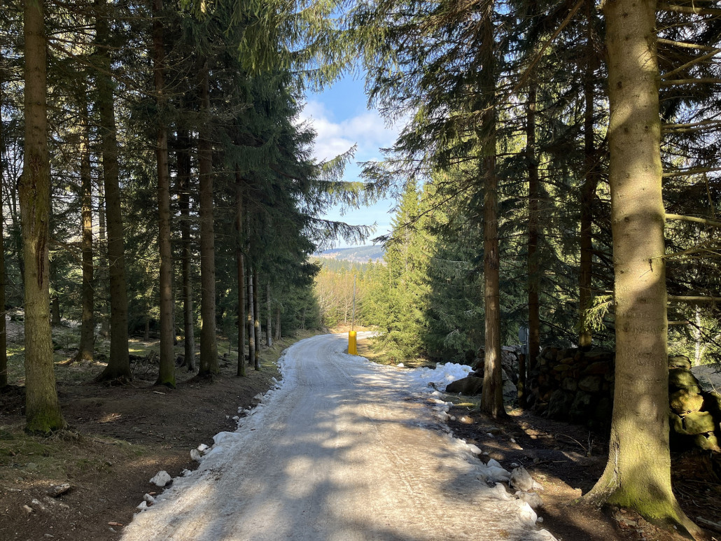 Zufahrt vom Parkplatz zur Talstation des CinestarExpress war ohne Steine fahrbar...
