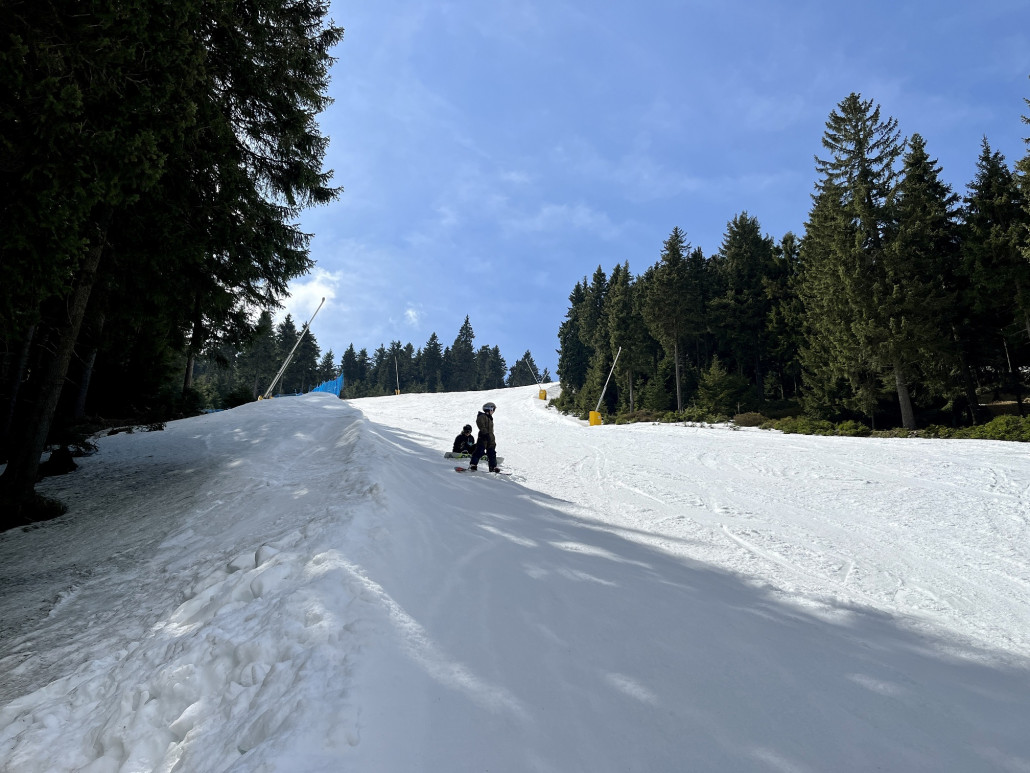 Östlicher Pistenrand vom "Toten Mann" (4) mit den besten Reserven...