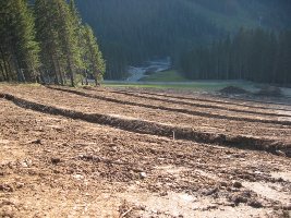 210-Nackter Humus im Steilgelände.jpg