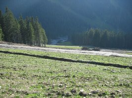 208-Wieder eingepflanzte Rasenpolster auf der Piste 1.jpg