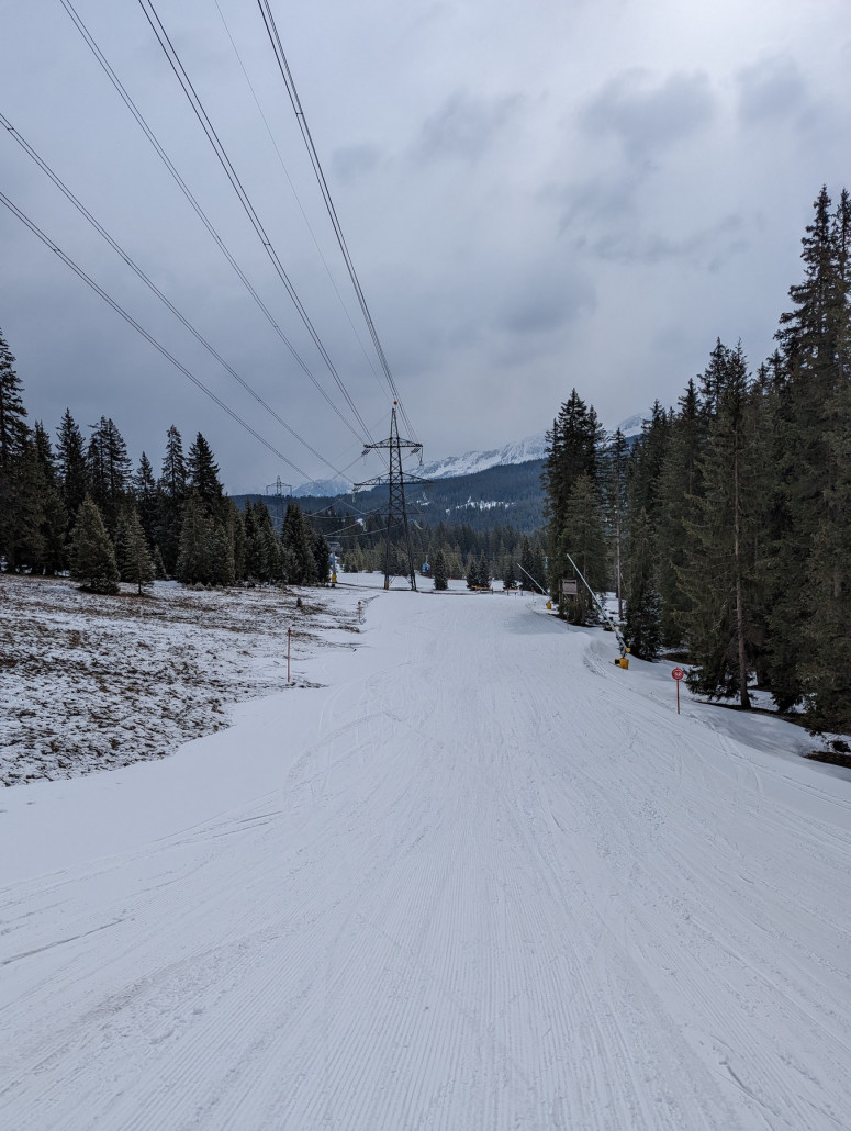 Romantische Waldpiste