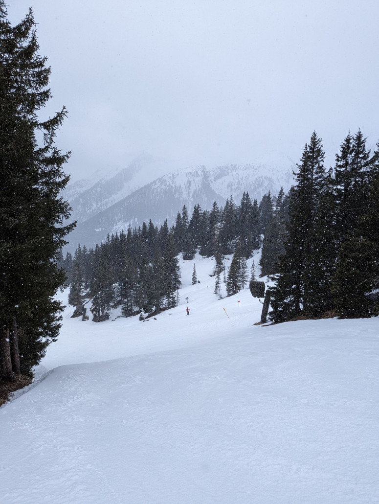 Etwas sulzig, aber gute Verhältnisse am Handlalmlift. Wunderbar in die Landschaft eingebettete Pisten. Bei der Maschinenraumbesichtigung sprach der Liftler allerdings auch davon, dass in ein paar Jahren der Ersatz geplant sei.