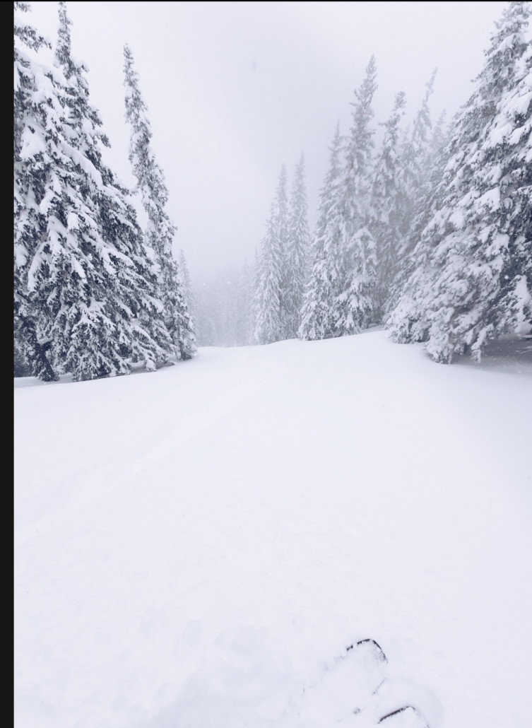 Screenshot_20230415-141109_Photoshop Express.jpg