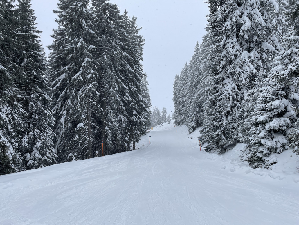 Schön weisse Bäume erlebte ich diesen Winter leider selten... Der Eindruck täuscht aber: Der Schnee war hier nur noch mässig lässig, Betonschnee par excellence...