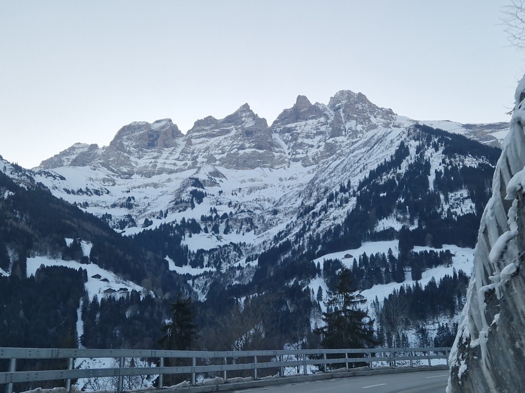 PDS_2023_by_Markus_Hahn (1).jpg