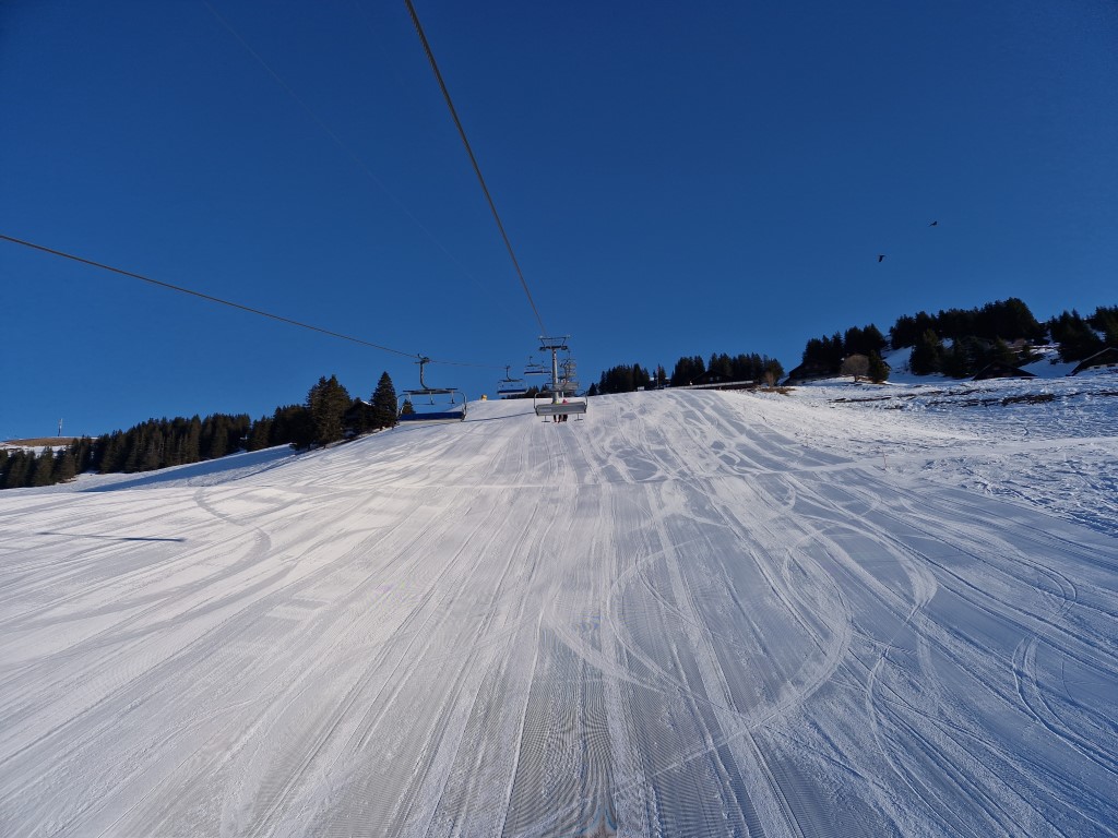 PDS_2023_by_Markus_Hahn (4).jpg