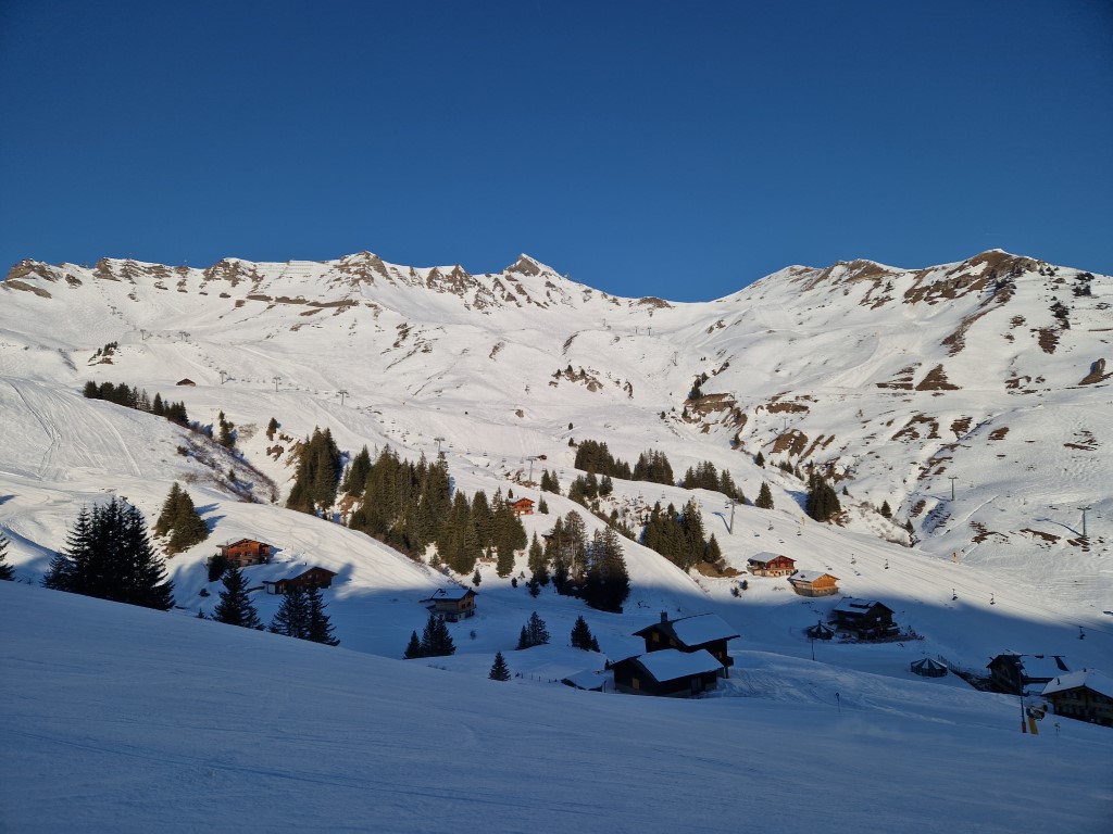 PDS_2023_by_Markus_Hahn (5).jpg