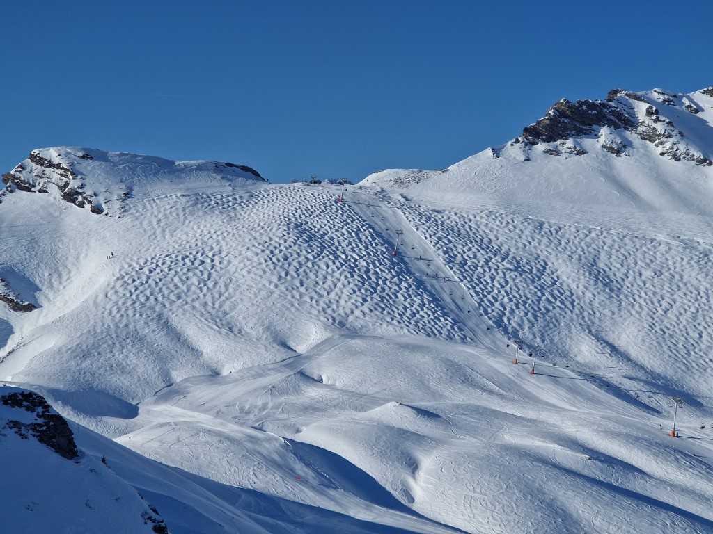 PDS_2023_by_Markus_Hahn (13).jpg