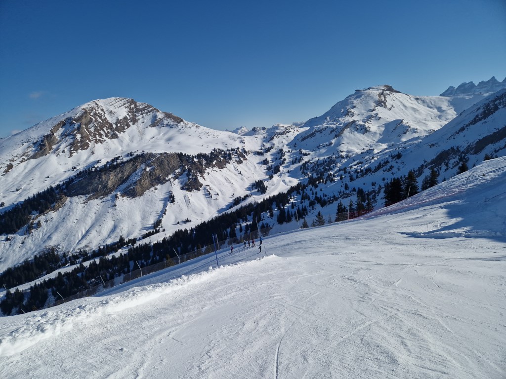 PDS_2023_by_Markus_Hahn (15).jpg