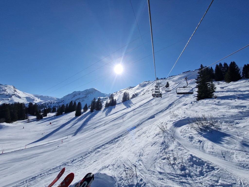 PDS_2023_by_Markus_Hahn (21).jpg