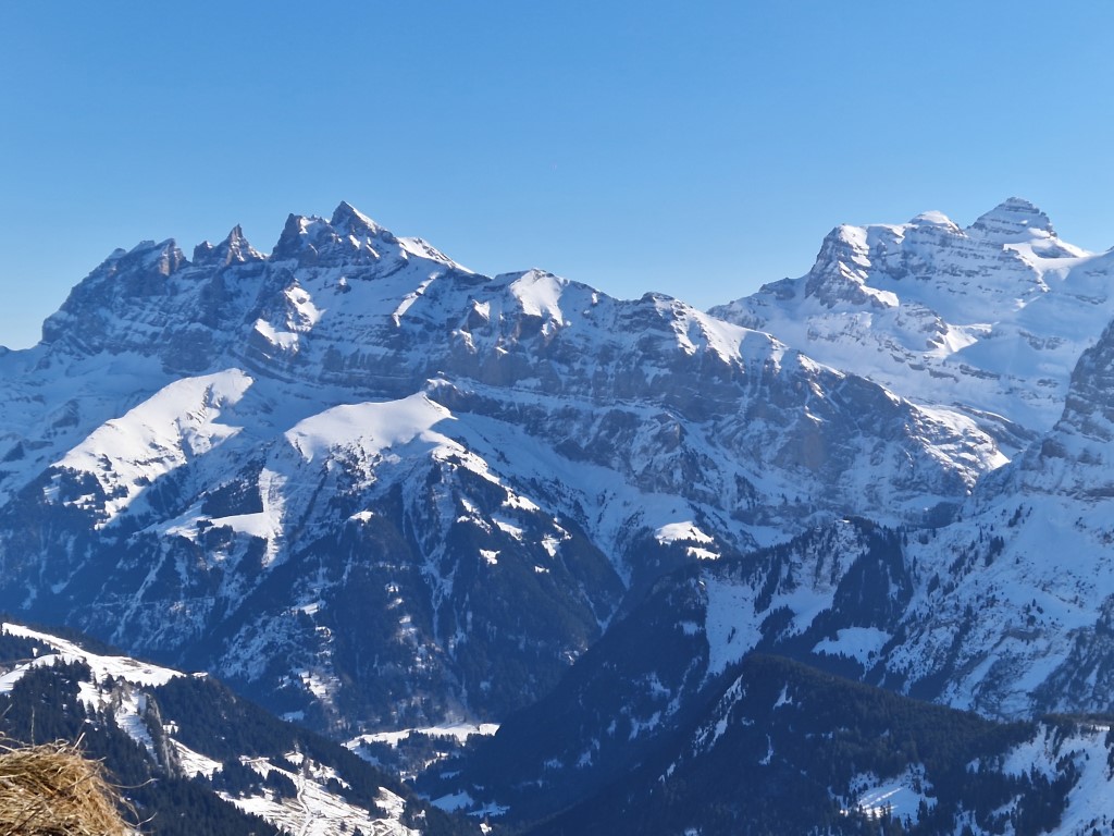 PDS_2023_by_Markus_Hahn (42).jpg