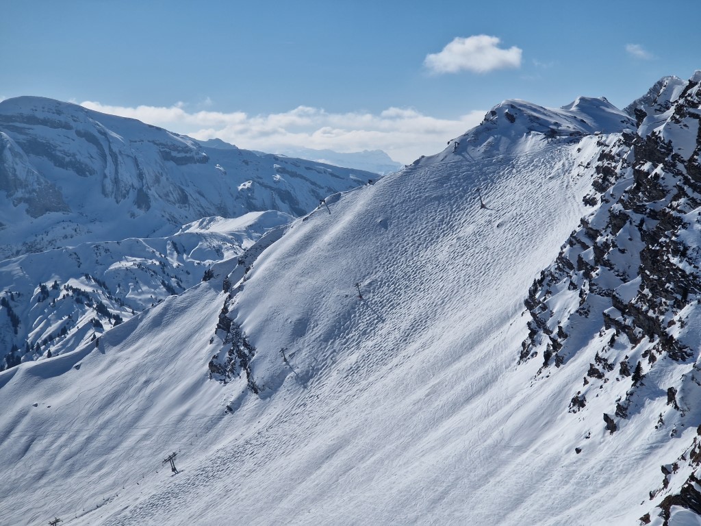 PDS_2023_by_Markus_Hahn (48).jpg