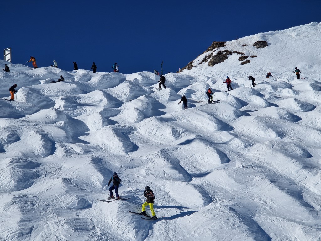 PDS_2023_by_Markus_Hahn (54).jpg