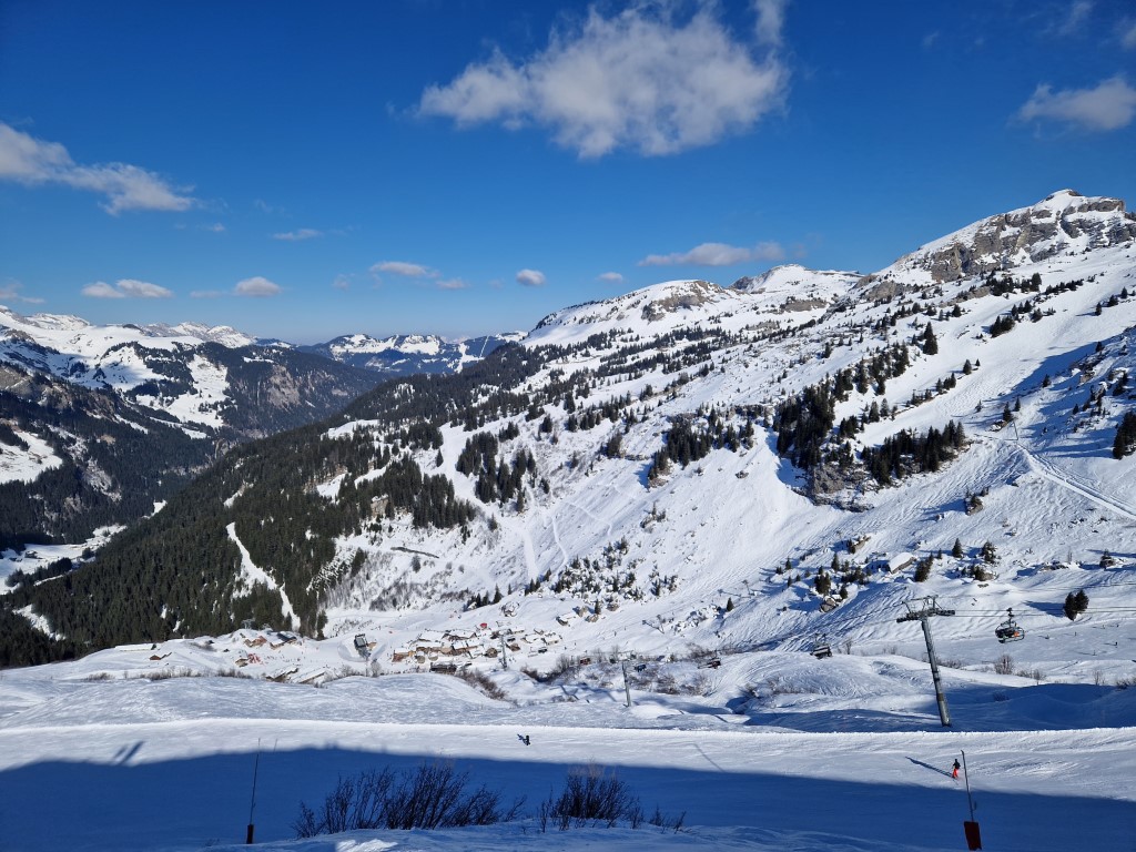 PDS_2023_by_Markus_Hahn (62).jpg