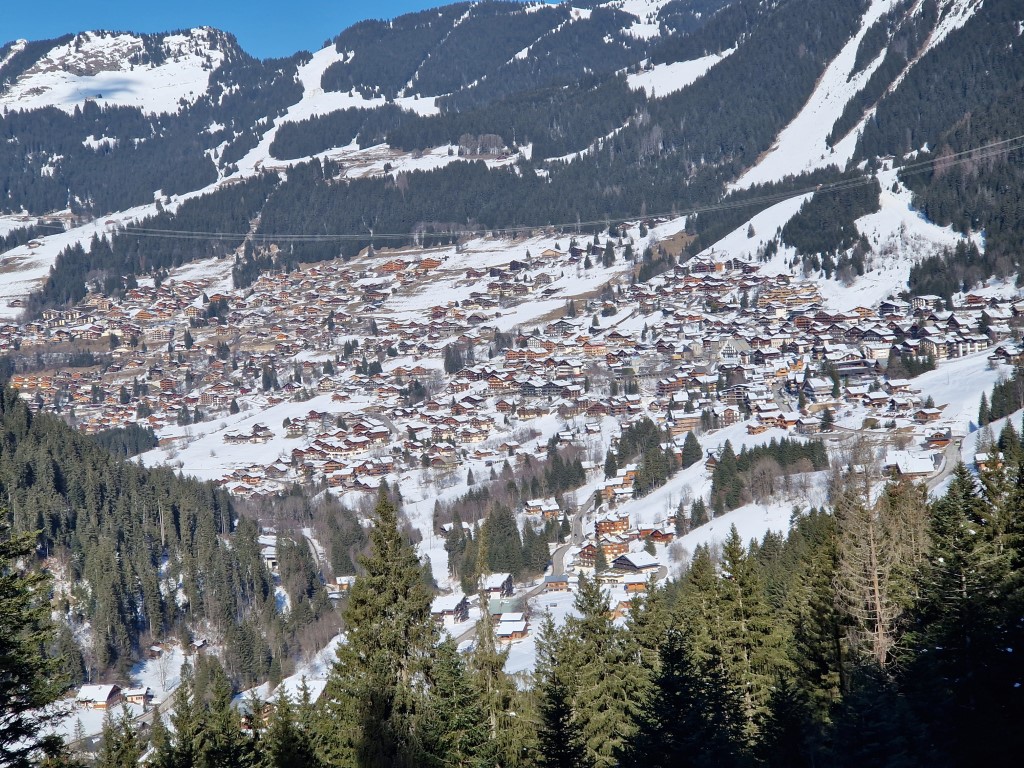 PDS_2023_by_Markus_Hahn (67).jpg