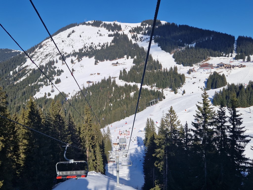 PDS_2023_by_Markus_Hahn (70).jpg