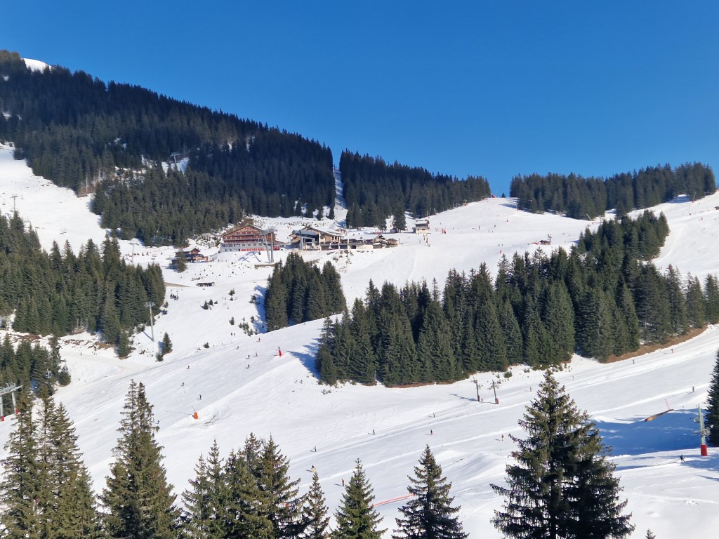 PDS_2023_by_Markus_Hahn (71).jpg