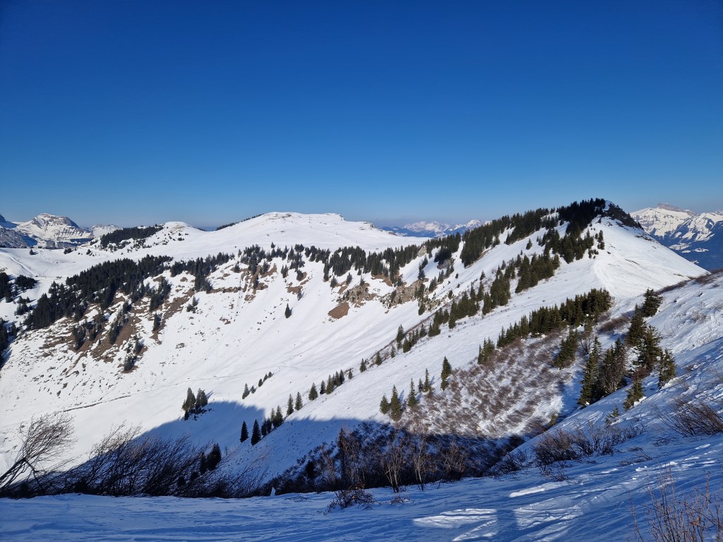 PDS_2023_by_Markus_Hahn (72).jpg