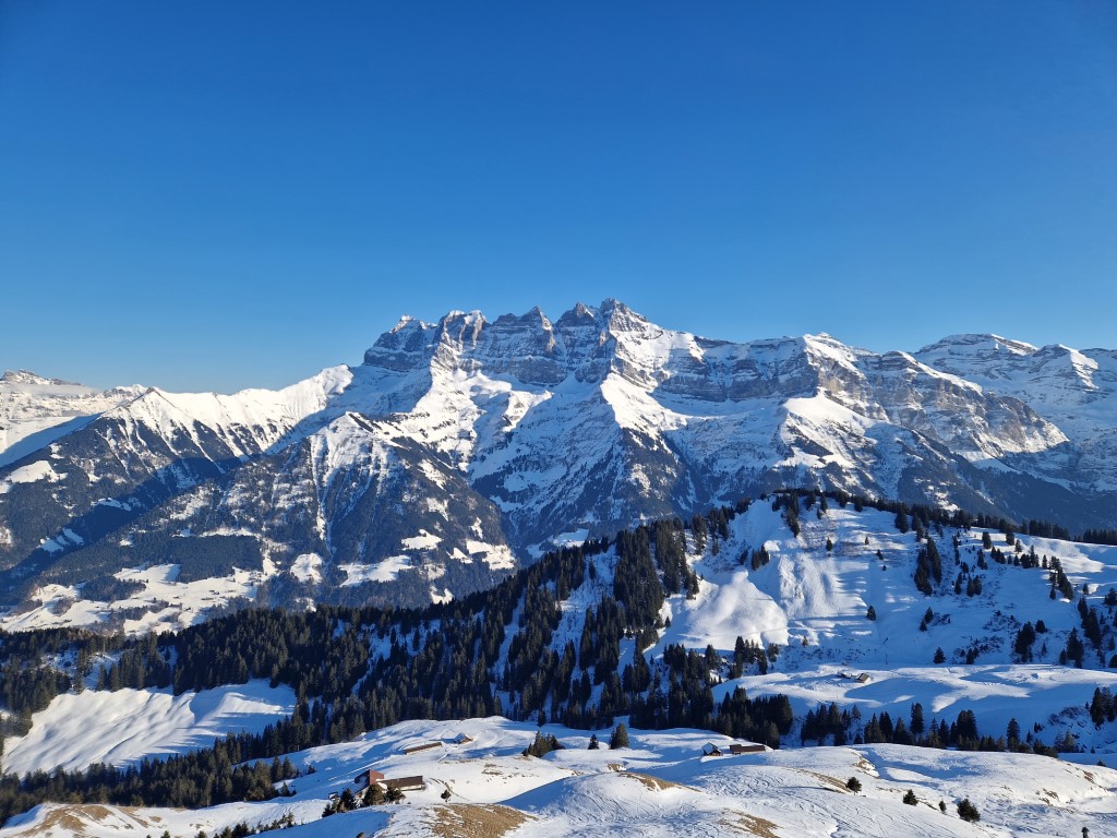 PDS_2023_by_Markus_Hahn (86).jpg