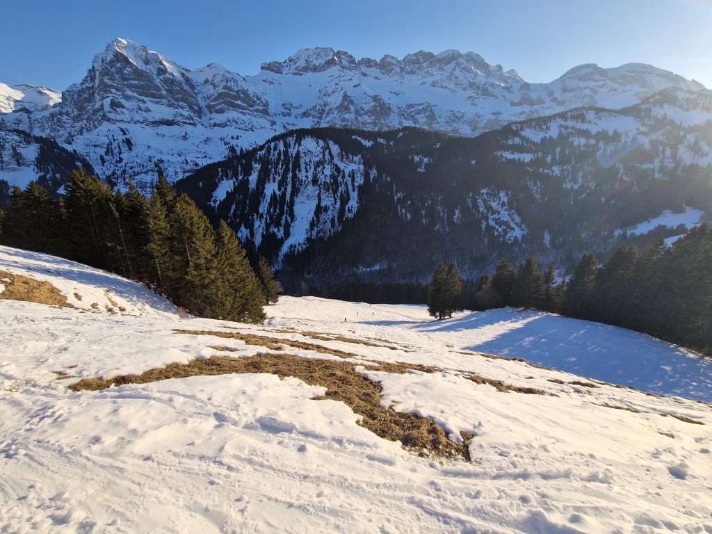 PDS_2023_by_Markus_Hahn (91).jpg