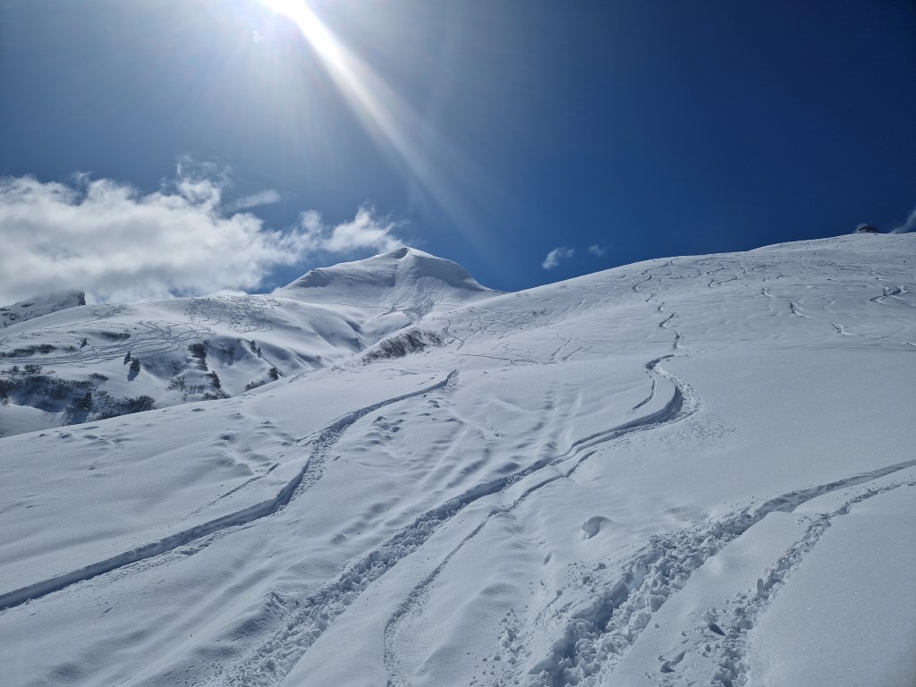 Springpowder_April_2023_LZTG (35).jpg