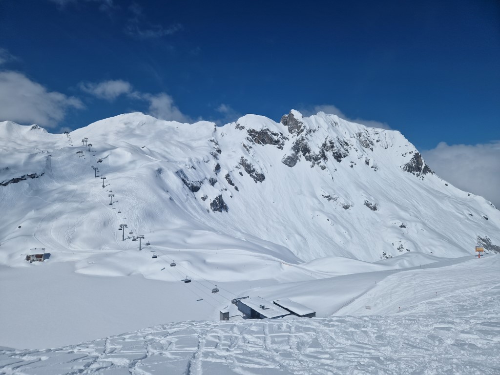 Springpowder_April_2023_LZTG (52).jpg