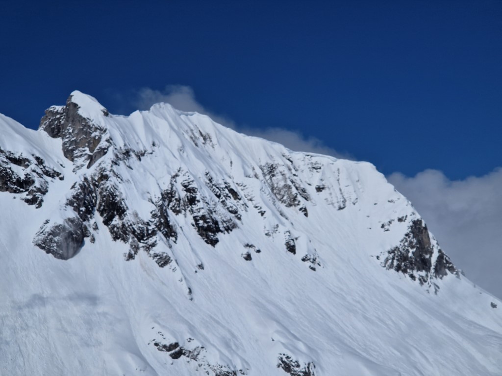 Springpowder_April_2023_LZTG (55).jpg