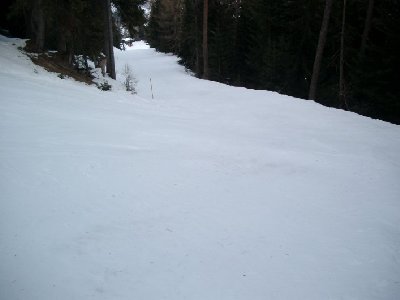 Skiroute &amp;quot;Avoin-St.Jean&amp;quot;. Super zu fahren, klasse Skiroute, die sich richtig durch den Wald schlängelt.