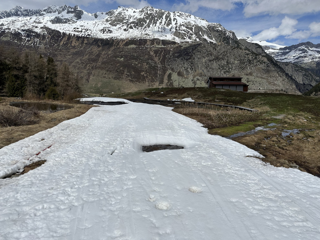 Hier war vor einem Jahr alles grün