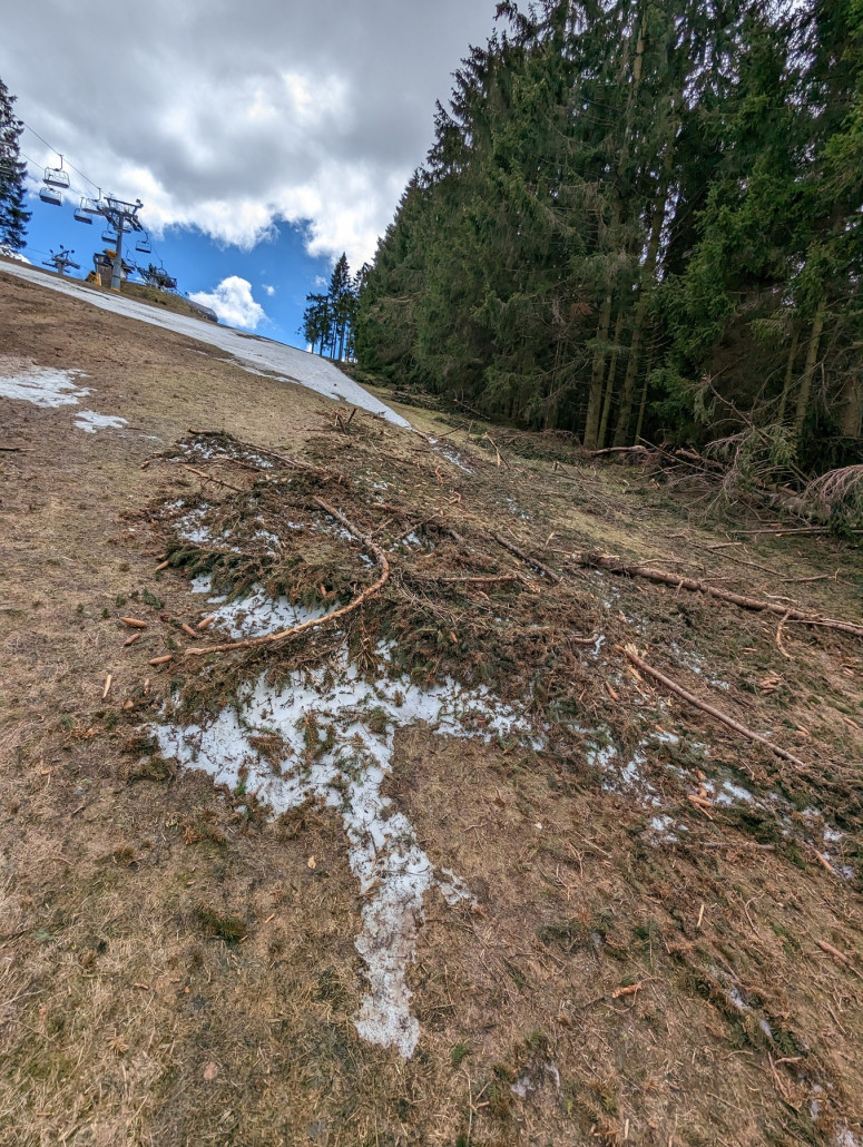 Diese Äste lagen über Monate in der Piste. Ein Teil lag bei niedriger Schneelage am 15.1. auch an der Oberfläche und die Rinde wurde abgeschabt.