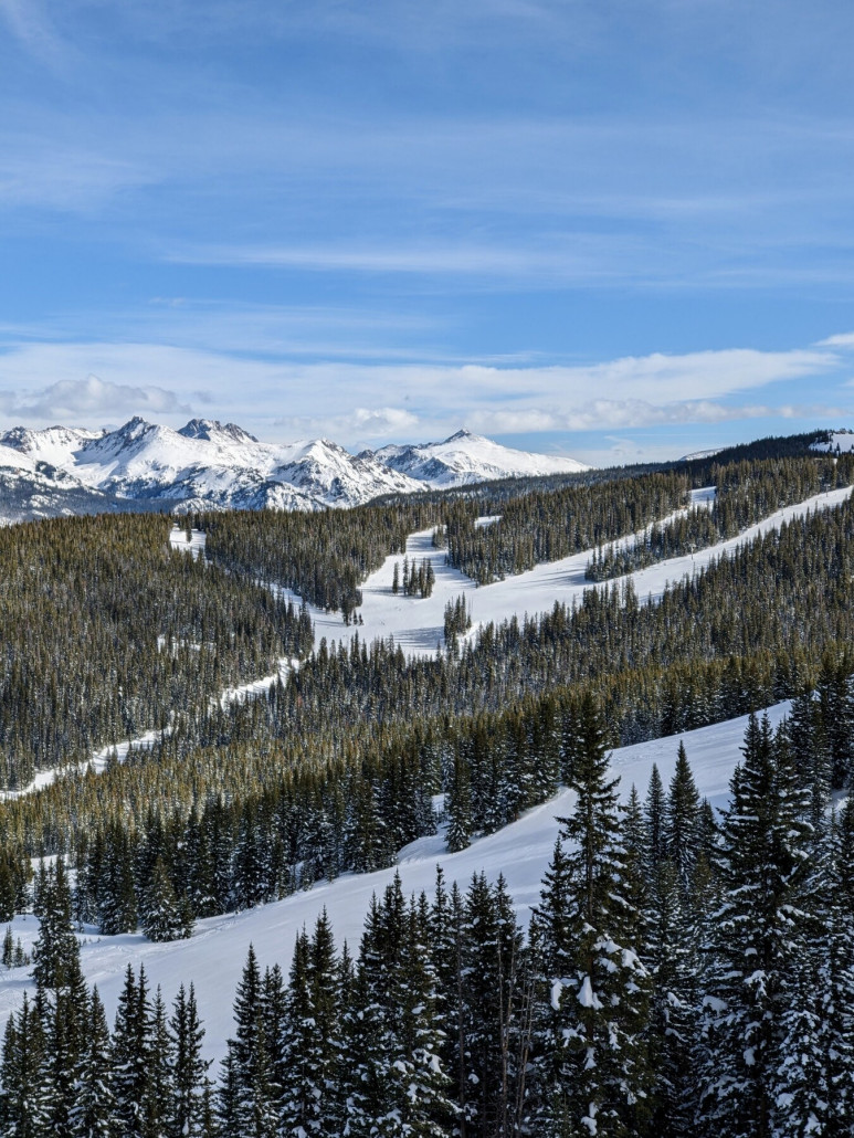 Blick in den Northwoods Bereich