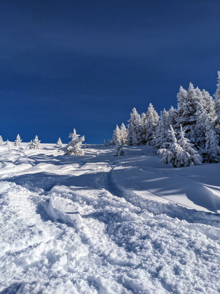 Start an der Ostseite der Game Creek Bowl