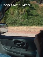 Beschreibung siehe Bild