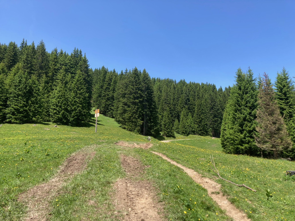 Scheitenboden mit Wanderweg sowie Einmündung der mittleren Schneise und der Piste 15 (rechts).