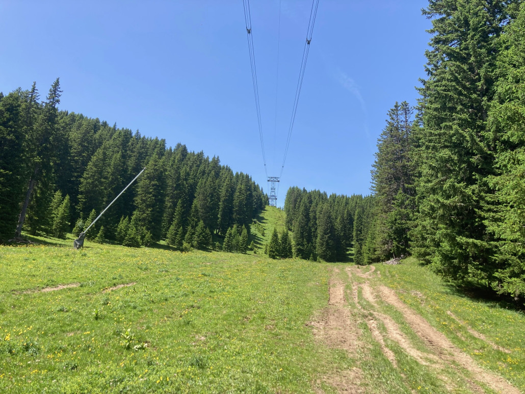 Auch die LAW-Schneise wird keine Piste.