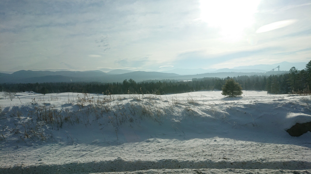 DSC_0527 - Kopie.JPG