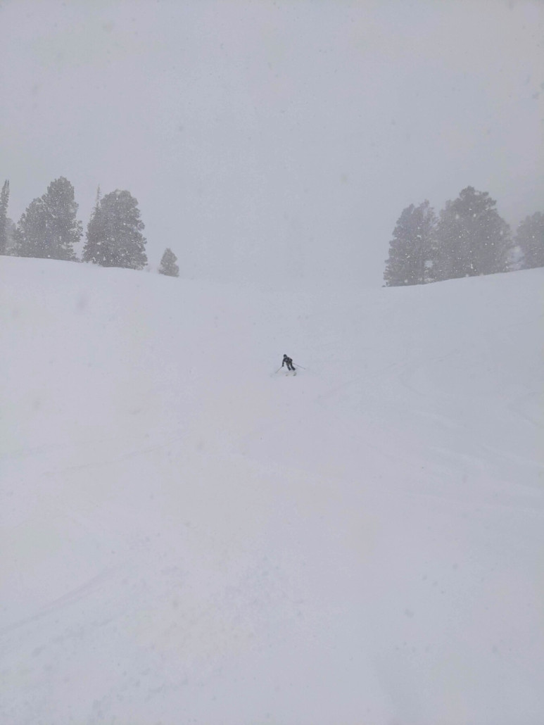 Ihr entschuldigt die sehr wenigen Bilder an diesem nassen Pulvertag!